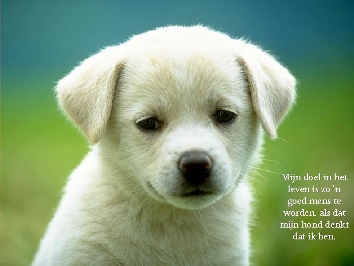 Mijn doel in het leven is zo´n goed mens te worden, als dat mijn