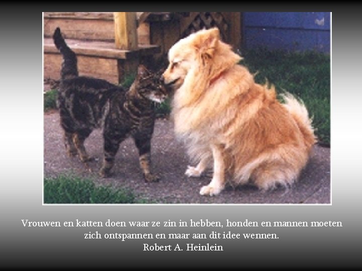 Vrouwen en katten doen waar ze zin in hebben, honden en mannen moeten zich