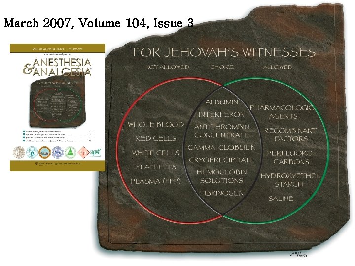 March 2007, Volume 104, Issue 3 