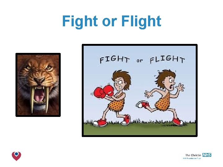 Fight or Flight The Christie NHS Foundation Trust 