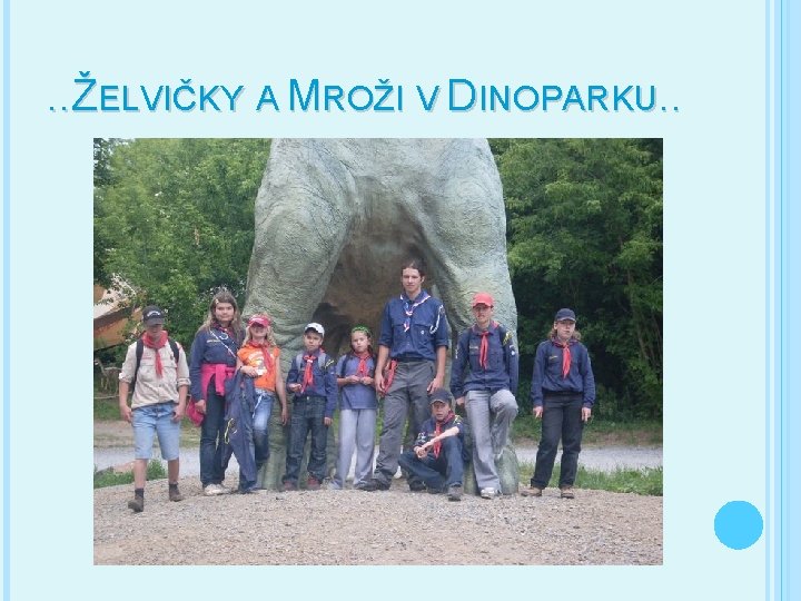 . . ŽELVIČKY A MROŽI V DINOPARKU. . 