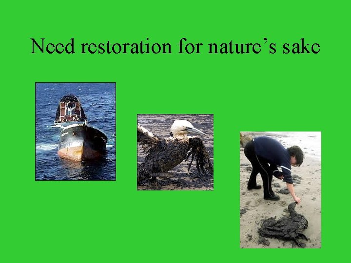 Need restoration for nature’s sake 
