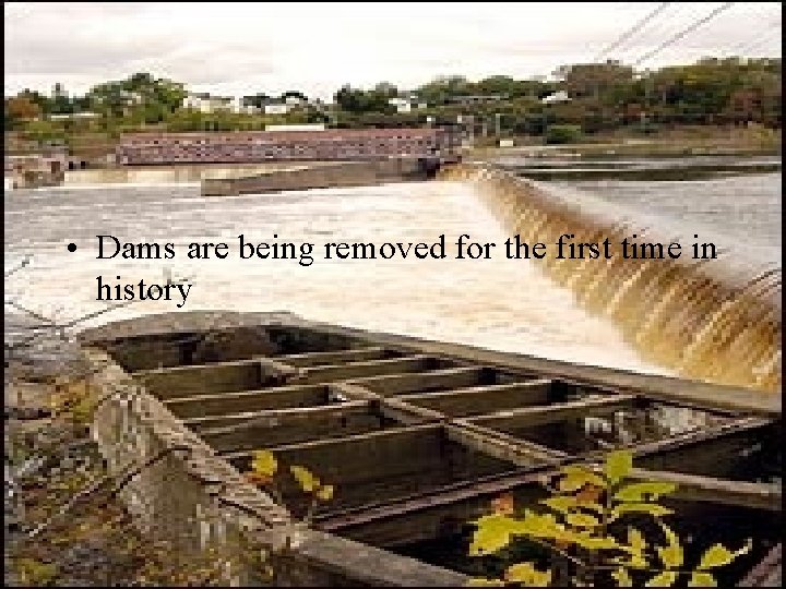  • Dams are being removed for the first time in history 