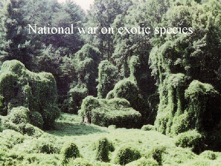 National war on exotic species 