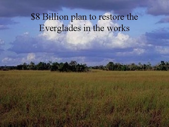 $8 Billion plan to restore the Everglades in the works 