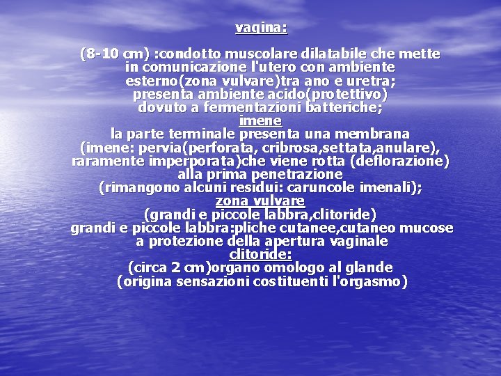 vagina: (8 -10 cm) : condotto muscolare dilatabile che mette in comunicazione l'utero con