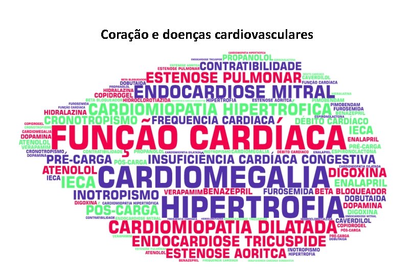 Coração e doenças cardiovasculares 