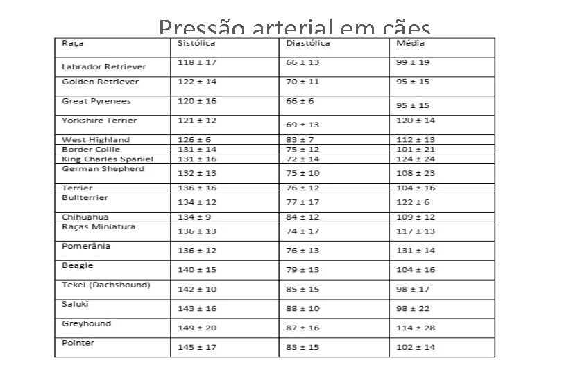 Pressão arterial em cães 