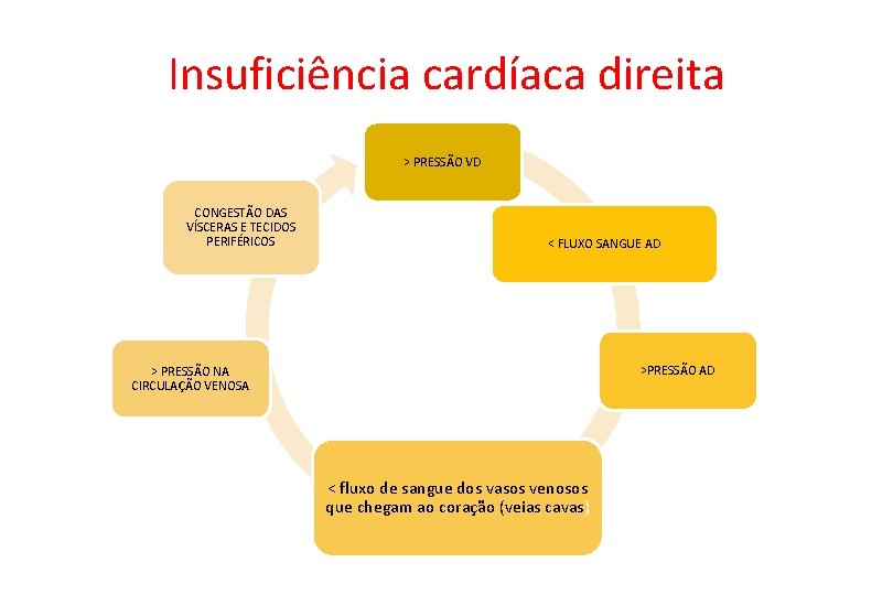 Insuficiência cardíaca direita > PRESSÃO VD CONGESTÃO DAS VÍSCERAS E TECIDOS PERIFÉRICOS < FLUXO