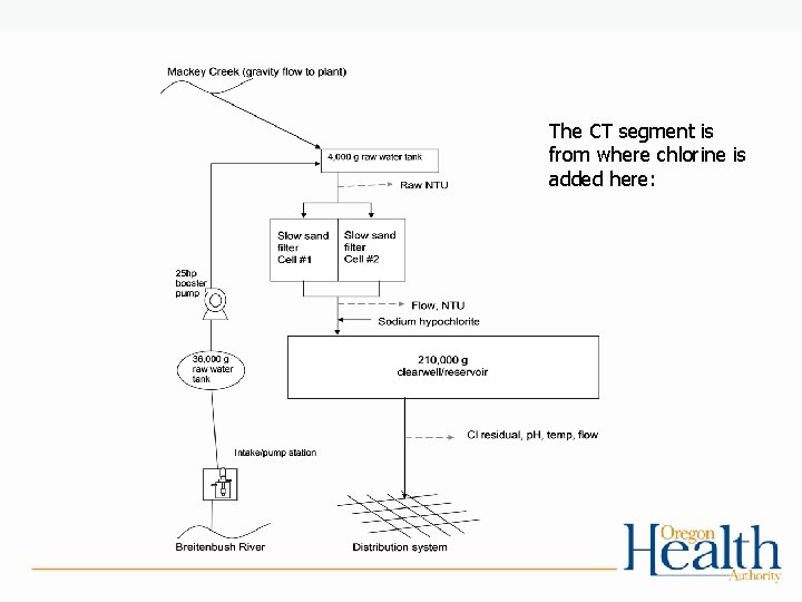 The CT segment is from where chlorine is added here: 