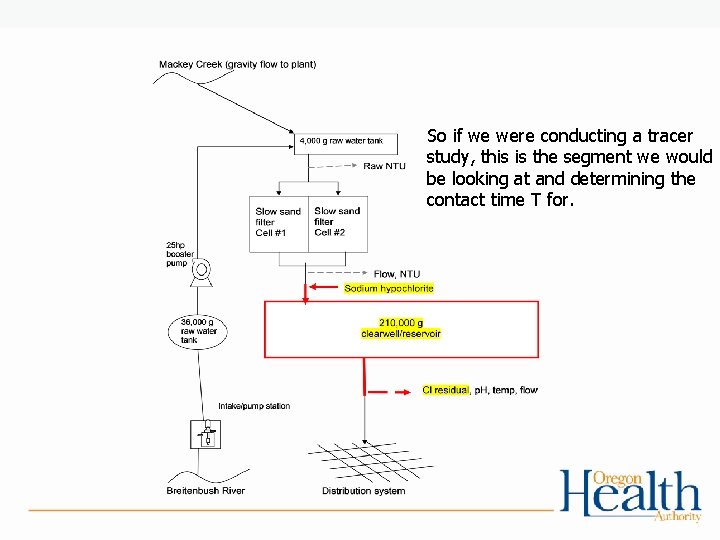 So if we were conducting a tracer study, this is the segment we would