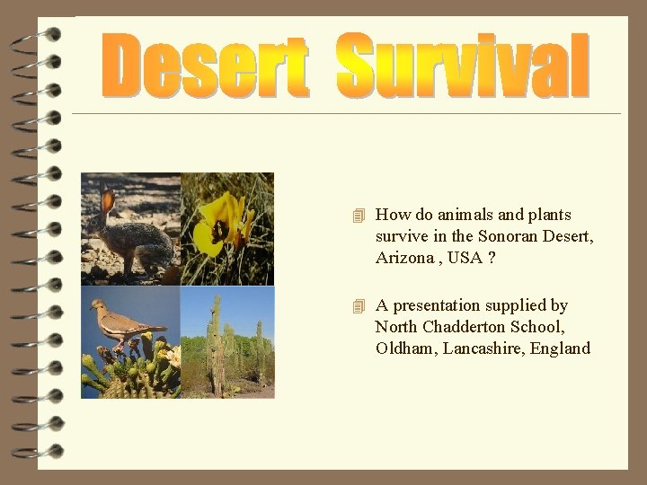 4 How do animals and plants survive in