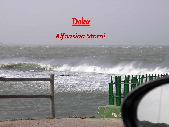 Dolor Alfonsina Storni 