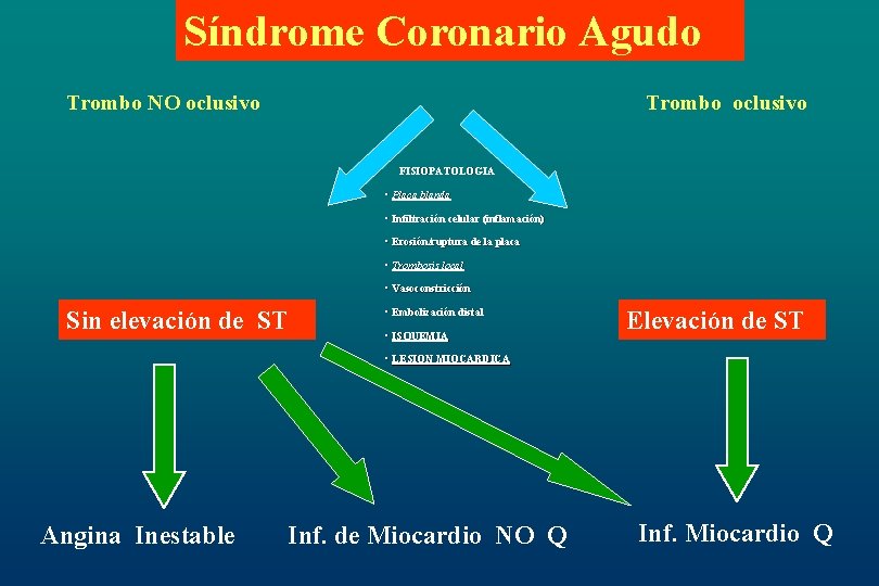 Síndrome Coronario Agudo Trombo NO oclusivo Trombo oclusivo FISIOPATOLOGIA • Placa blanda • Infiltración