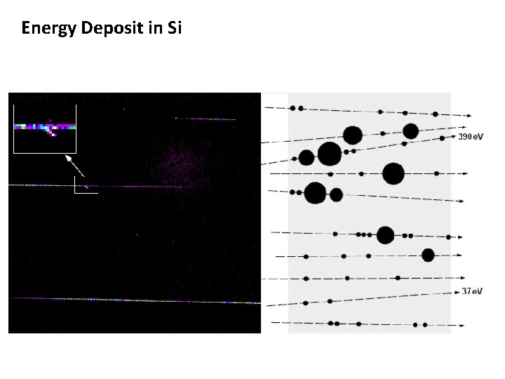 Energy Deposit in Si 