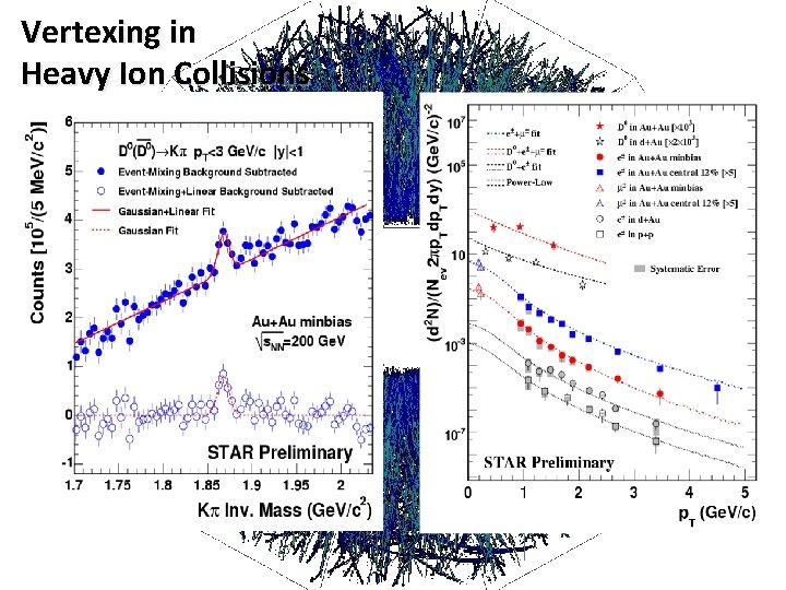 Vertexing in Heavy Ion Collisions (SGV Fast Simulation) 