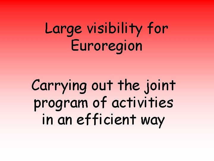 Large visibility for Euroregion Carrying out the joint program of activities in an efficient