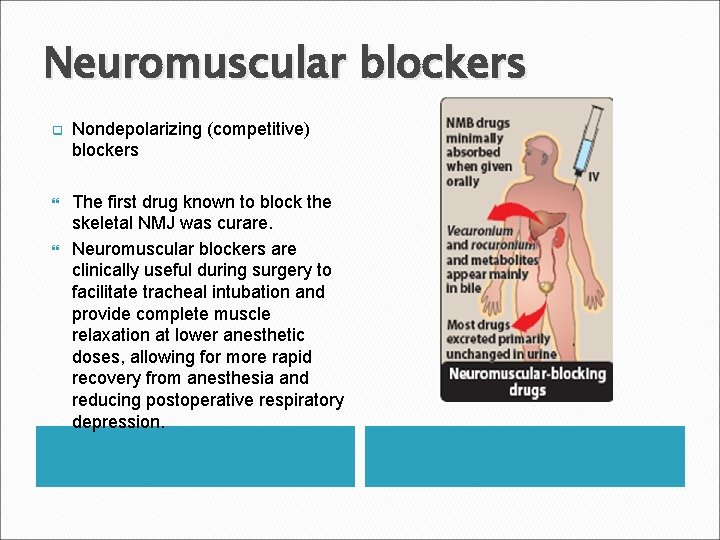 Neuromuscular blockers q Nondepolarizing (competitive) blockers The first drug known to block the skeletal