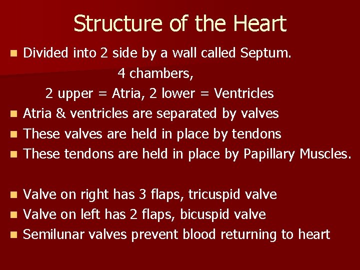 Structure of the Heart Divided into 2 side by a wall called Septum. 4