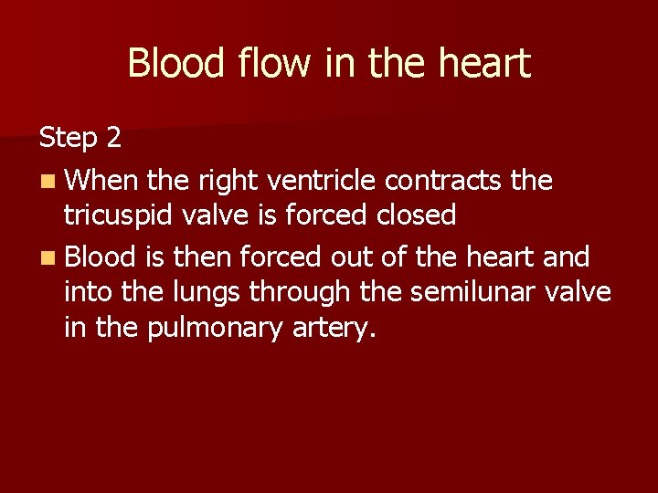 Blood flow in the heart Step 2 n When the right ventricle contracts the