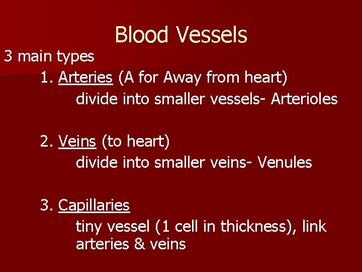 Blood Vessels 3 main types 1. Arteries (A for Away from heart) divide into