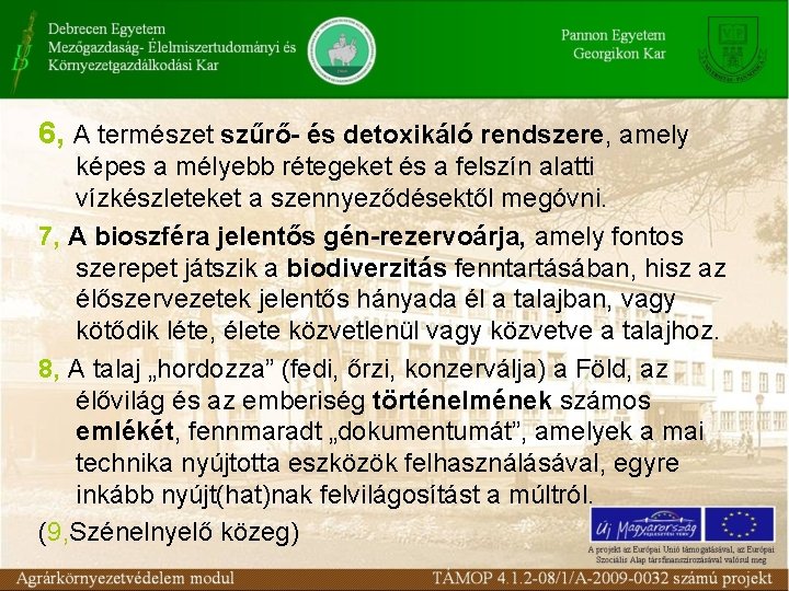 6, A természet szűrő- és detoxikáló rendszere, amely képes a mélyebb rétegeket és a