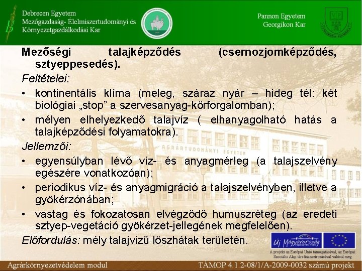 Mezőségi talajképződés (csernozjomképződés, sztyeppesedés). Feltételei: • kontinentális klíma (meleg, száraz nyár – hideg tél: