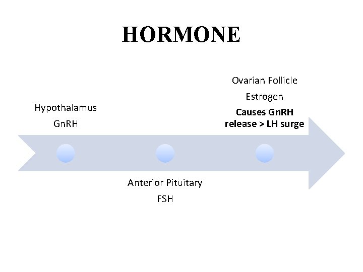 HORMONE Ovarian Follicle Estrogen Causes Gn. RH release > LH surge Hypothalamus Gn. RH HORMONE Ovarian Follicle Estrogen Causes Gn. RH release > LH surge Hypothalamus Gn. RH
