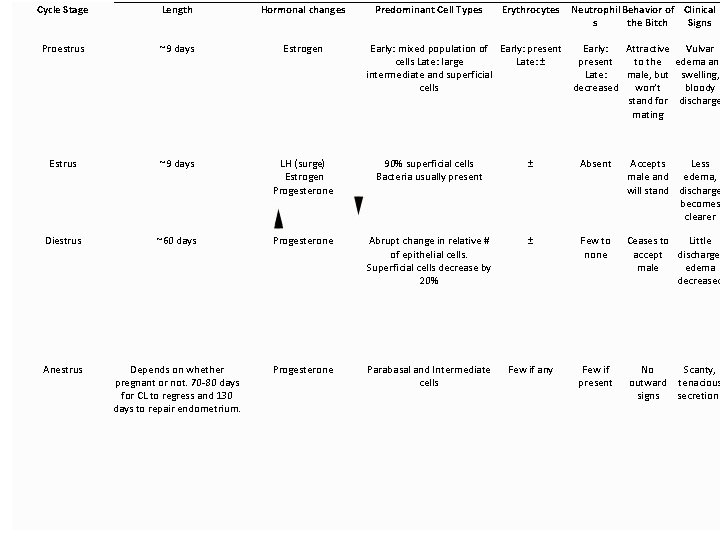 Cycle Stage Length Hormonal changes Predominant Cell Types Erythrocytes Proestrus ~9 days Estrogen Estrus Cycle Stage Length Hormonal changes Predominant Cell Types Erythrocytes Proestrus ~9 days Estrogen Estrus
