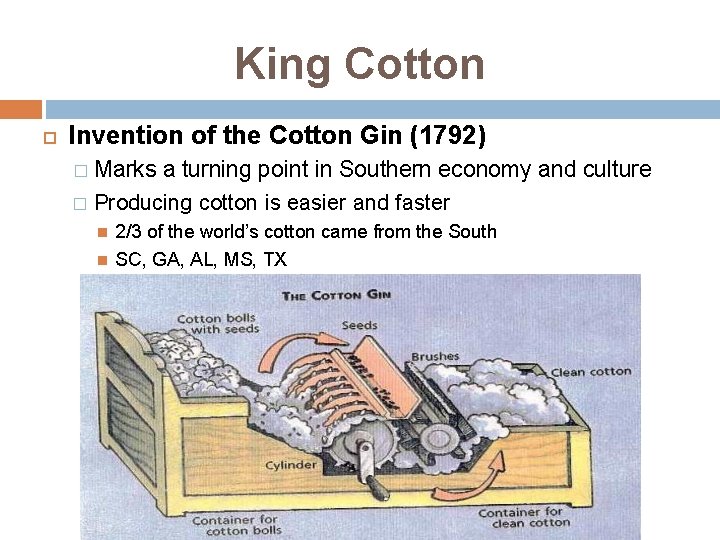 King Cotton Invention of the Cotton Gin (1792) Marks a turning point in Southern