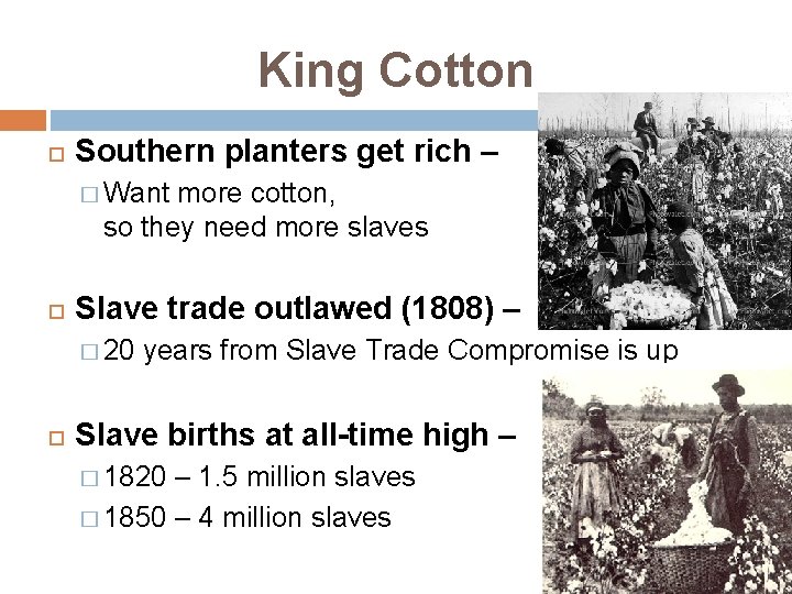 King Cotton Southern planters get rich – � Want more cotton, so they need