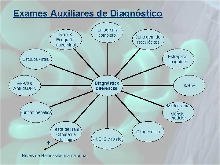 Exames Auxiliares de Diagnóstico Raio X Ecografia abdominal Hemograma completo Contagem de reticulócitos Esfregaço Exames Auxiliares de Diagnóstico Raio X Ecografia abdominal Hemograma completo Contagem de reticulócitos Esfregaço