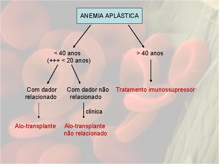 ANEMIA APLÁSTICA < 40 anos (+++ < 20 anos) Com dador relacionado Com dador ANEMIA APLÁSTICA < 40 anos (+++ < 20 anos) Com dador relacionado Com dador