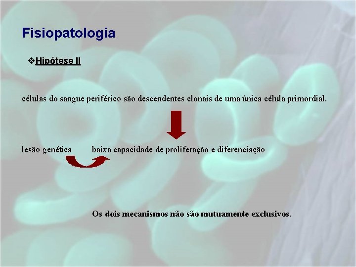 Fisiopatologia v. Hipótese II células do sangue periférico são descendentes clonais de uma única Fisiopatologia v. Hipótese II células do sangue periférico são descendentes clonais de uma única