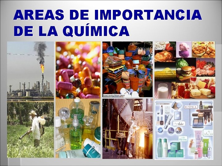 AREAS DE IMPORTANCIA DE LA QUÍMICA 