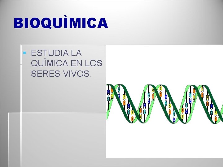 BIOQUÌMICA § ESTUDIA LA QUÌMICA EN LOS SERES VIVOS. 