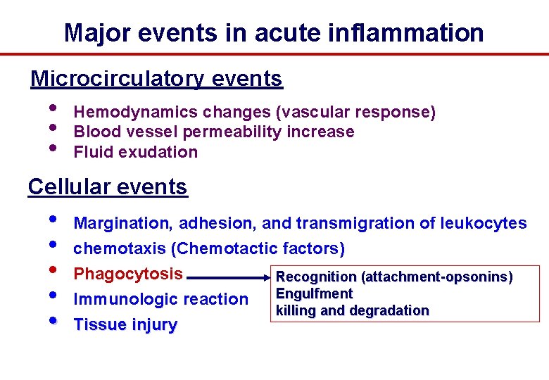 Major events in acute inflammation Microcirculatory events • • • Hemodynamics changes (vascular response)