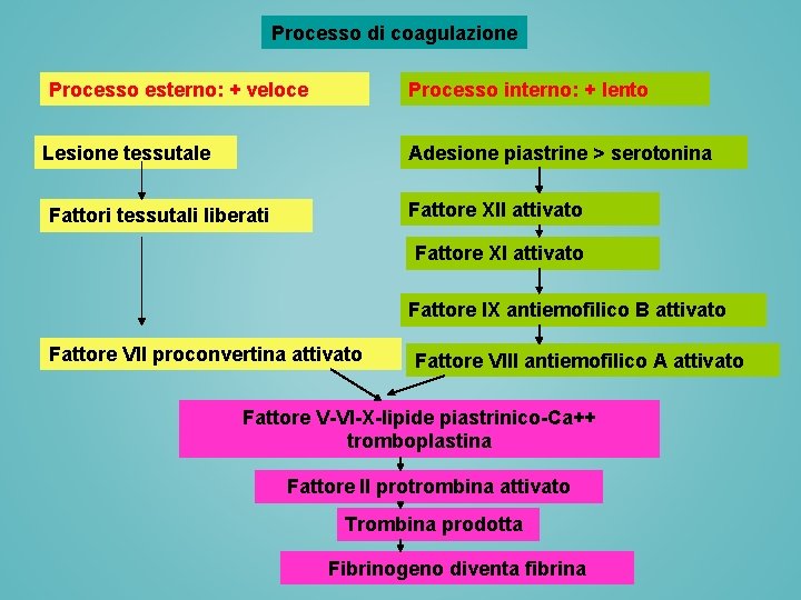 Processo di coagulazione Processo esterno: + veloce Processo interno: + lento Lesione tessutale Adesione