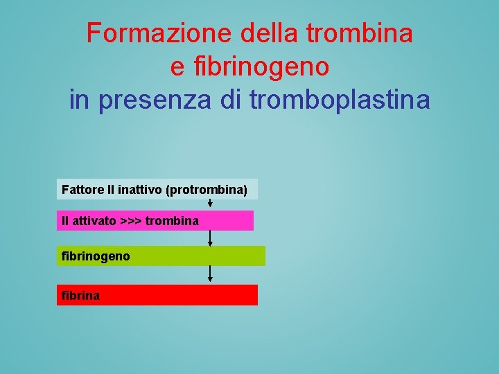 Formazione della trombina e fibrinogeno in presenza di tromboplastina Fattore II inattivo (protrombina) II Formazione della trombina e fibrinogeno in presenza di tromboplastina Fattore II inattivo (protrombina) II