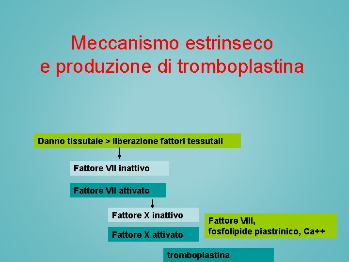 Meccanismo estrinseco e produzione di tromboplastina Danno tissutale > liberazione fattori tessutali Fattore VII