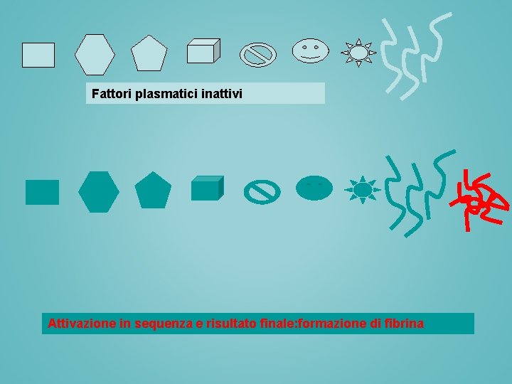 Fattori plasmatici inattivi Attivazione in sequenza e risultato finale: formazione di fibrina 