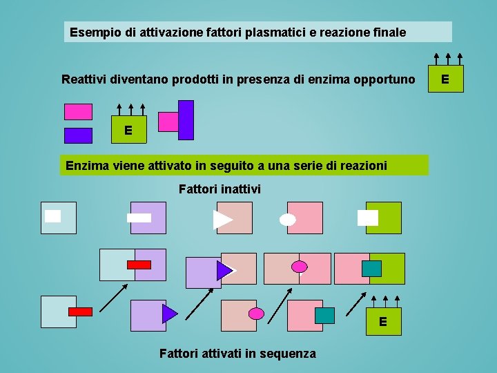 Esempio di attivazione fattori plasmatici e reazione finale Reattivi diventano prodotti in presenza di