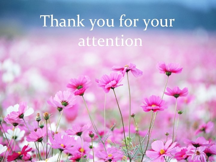 Thank you for your attention 