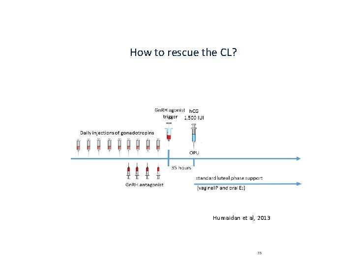 How to rescue the CL? Humaidan et al, 2013 35 