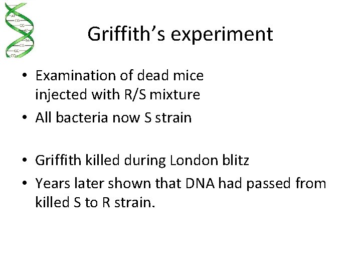 Griffith’s experiment • Examination of dead mice injected with R/S mixture • All bacteria