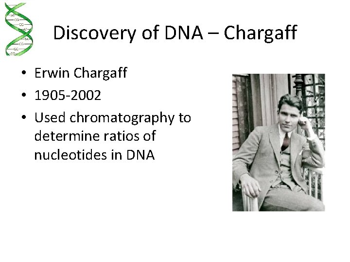 Discovery of DNA – Chargaff • Erwin Chargaff • 1905 -2002 • Used chromatography