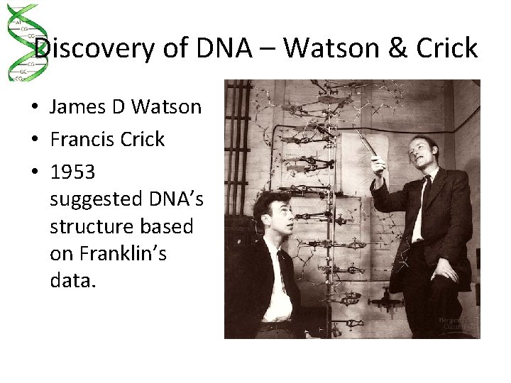 Discovery of DNA – Watson & Crick • James D Watson • Francis Crick