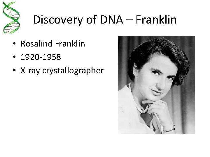 Discovery of DNA – Franklin • Rosalind Franklin • 1920 -1958 • X-ray crystallographer