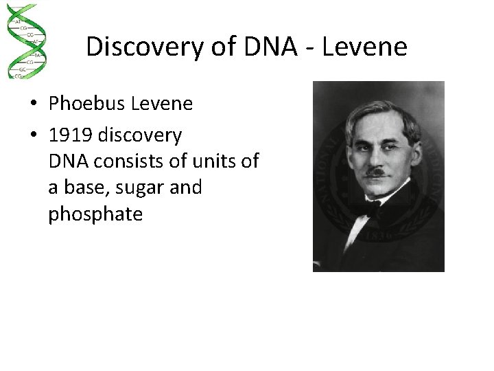 Discovery of DNA - Levene • Phoebus Levene • 1919 discovery DNA consists of