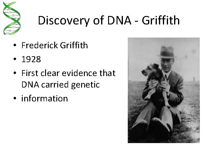 Discovery of DNA - Griffith • Frederick Griffith • 1928 • First clear evidence
